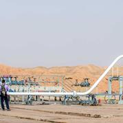 The wellhead facilities and flowlines